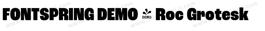 FONTSPRING DEMO - Roc Grotesk Black字体转换